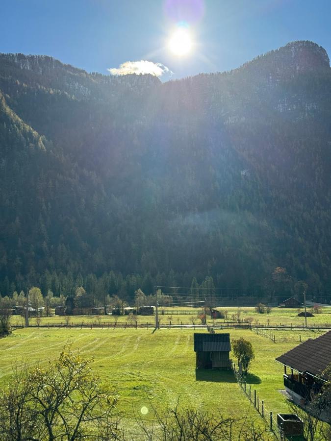 Haus Edelweiss Hotel Obertraun Exterior foto